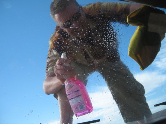 washing the insect guts off Foxy's window