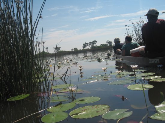 closer to the hippos