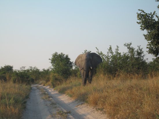 just 20 km from camp, we were held up