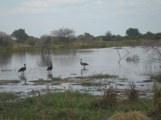 one of several watering holes we passed