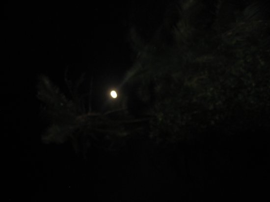 Full moon