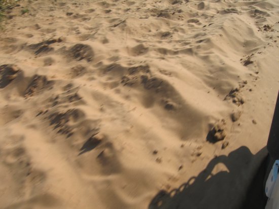 Sandy tracks