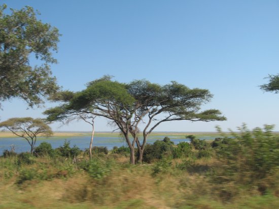 The Zambezi River!