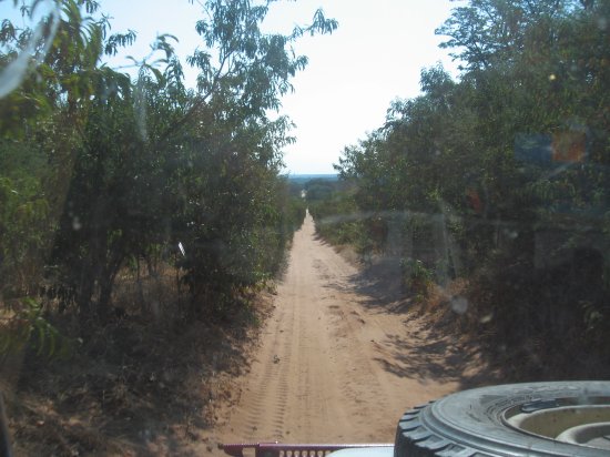 Waiting for an elephant to pop out