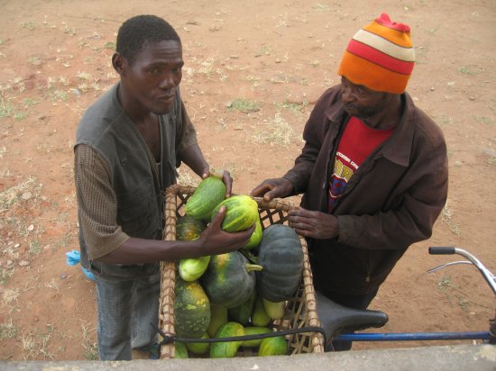 buying cucumbers