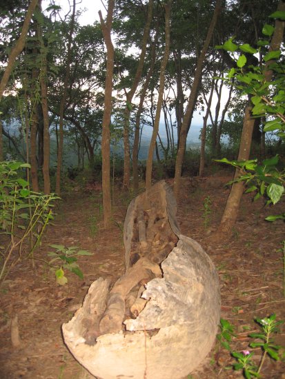 a worn-out mokoro canoe
