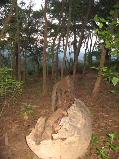 a worn-out mokoro canoe