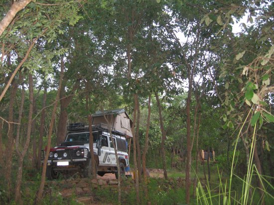 Foxy at Lukwe Eco Lodge