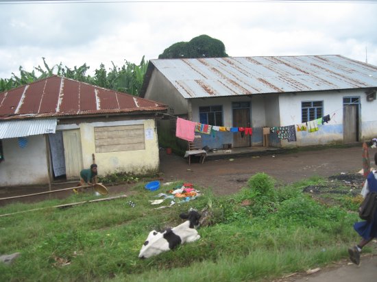 typical house at side of road