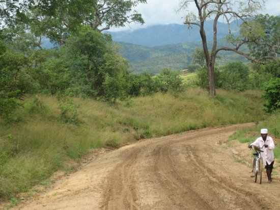 a long trudge uphill