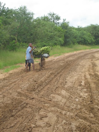 a slow muddy ride