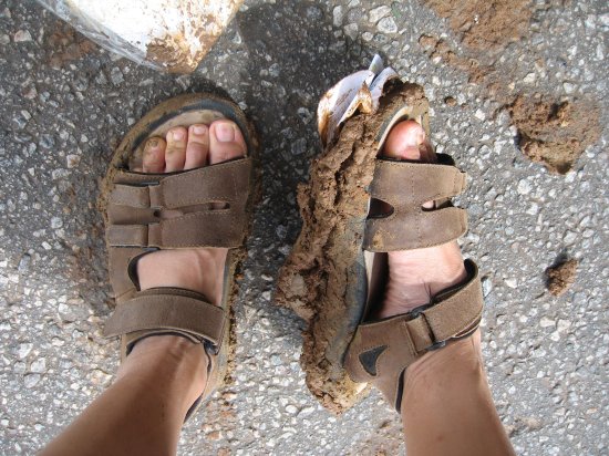 muddy feet and sandals