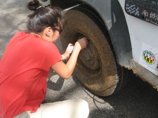 pumping Foxy's tires again for tar roads