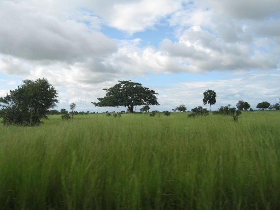 Mikumi National Park