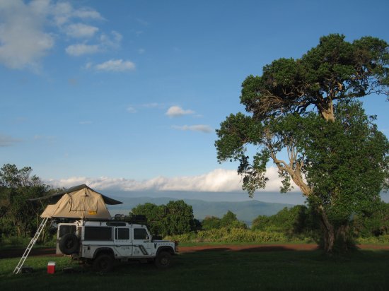 Foxy at Ngorogoro overlooking crater