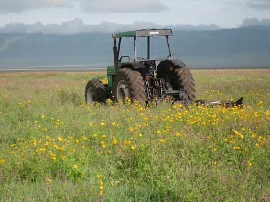 an out of place tractor??