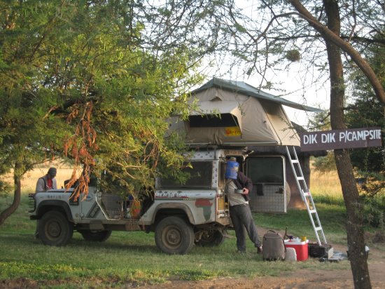 Foxy at Dikdik Publbic Campsite