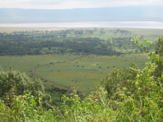 Lerai Forest below