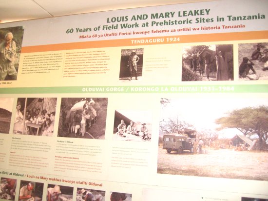 Louis and Mary Leakey's work explained