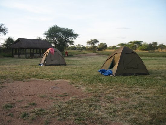 Tents at Dikdik Public Campsite
