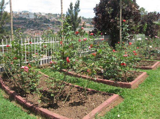 one of many mass graves