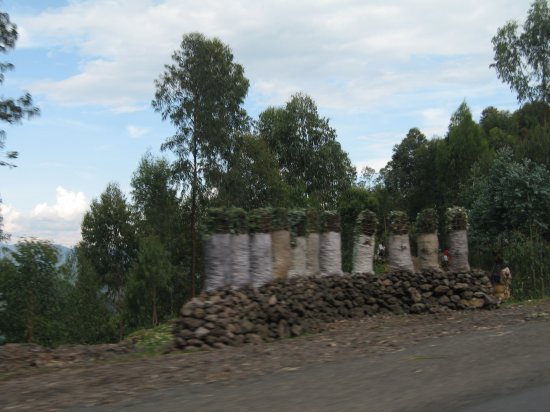 Bags of rocks for sale