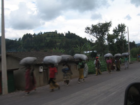 hard-working women