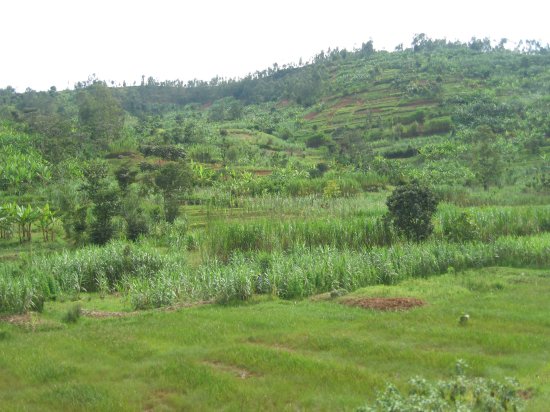 hilly Rwanda