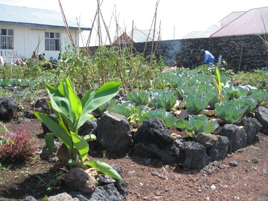 veg garden for patients