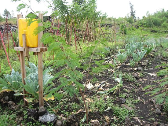 irrigation system