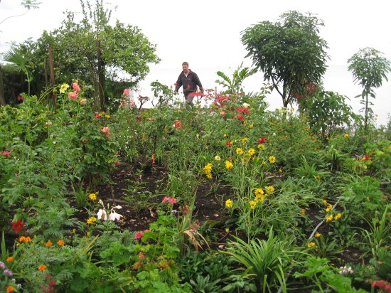 Matt and lovely garden