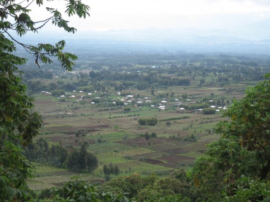 view halfway up mountain