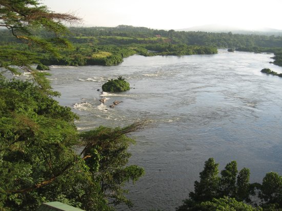 The Nile RIver from NRE Camp