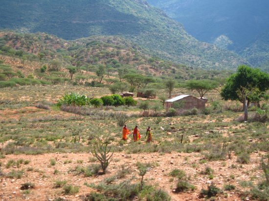 local Turkana tribespeople