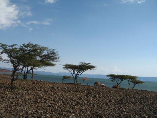 first LAKE TURKANA sighting