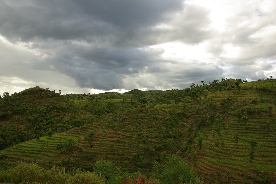 hilly and green Ethiopia