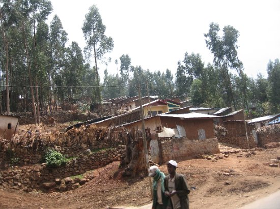 Addis' outskirts