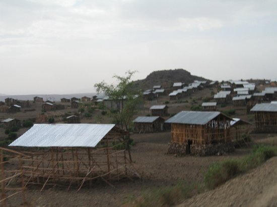 all tin roofs, wow