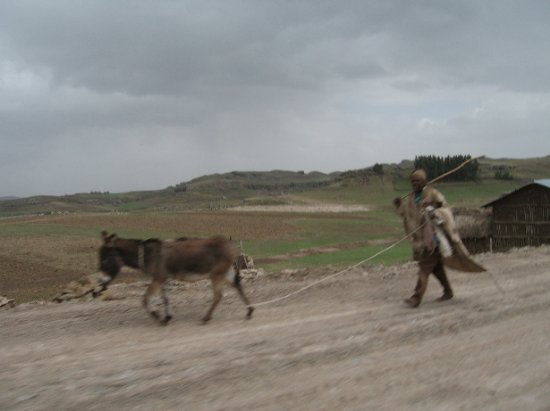 man and his donkey