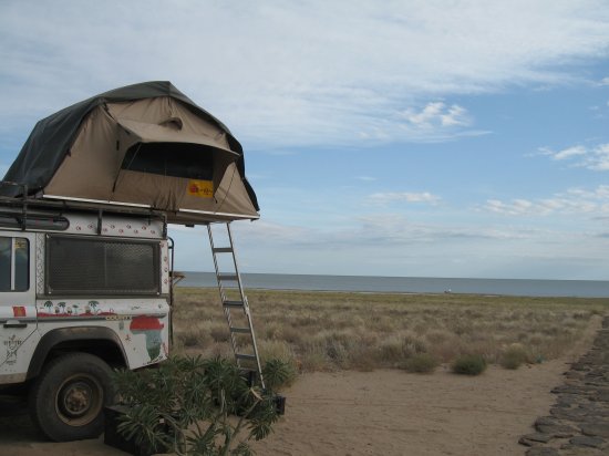 Foxy in the morning beside Lake Turkana