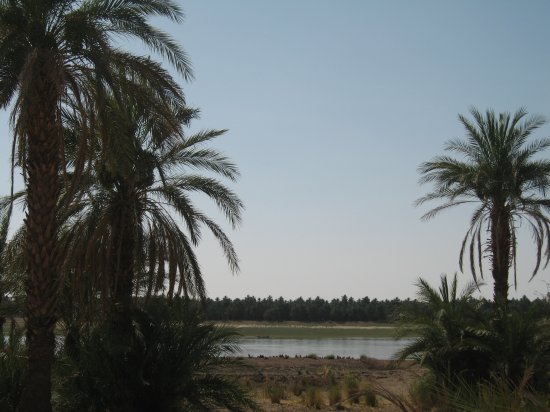 the Nile