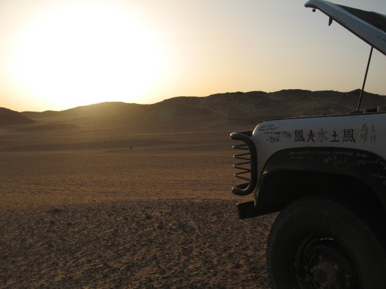 Foxy admiring the Sudan sunset