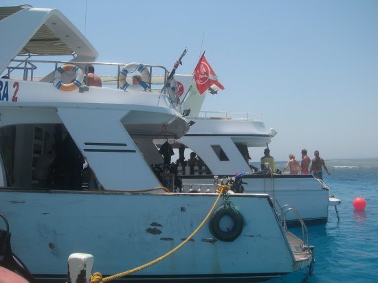 other diving boats next to ours