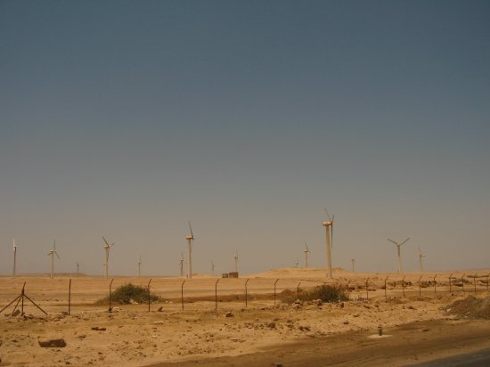 lots of wind turbines outside Hurghada