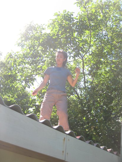 picking plums on the rooftop