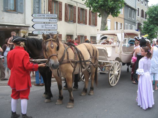 Medieval parade in Limoux