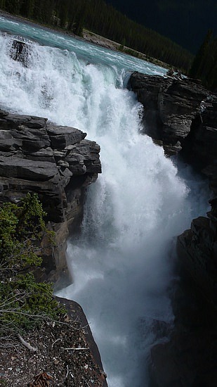 the beautiful Athabasca Falls