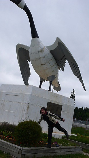 giant goose at Wawa