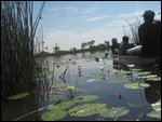 closer to the hippos