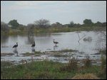 one of several watering holes we passed